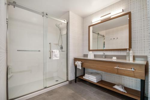 a bathroom with a shower and a sink and a mirror at Hampton Inn & Suites By Hilton Irving Dfw Airport North in Irving