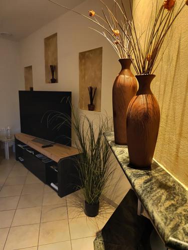 two brown vases sitting on a counter with plants at Hotel Isidora in Loutrós