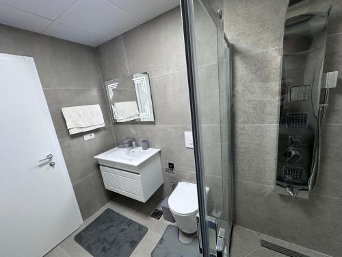 a bathroom with a shower and a toilet and a sink at Dialb Apartments in Debar