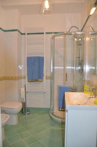 a bathroom with a shower and a toilet and a sink at Donna Alda Affittacamere Capitello dal 2012 in Villammare