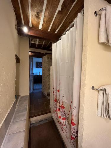 a bathroom with a shower with red flowers on the wall at Le Gite des Anges du Verdon in Trigance