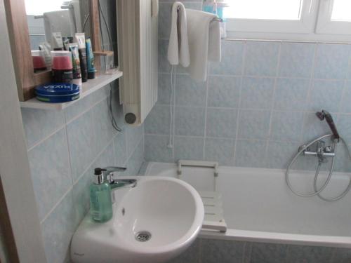 a bathroom with a sink and a bath tub at Room Zox Gluten-free in Vukovar