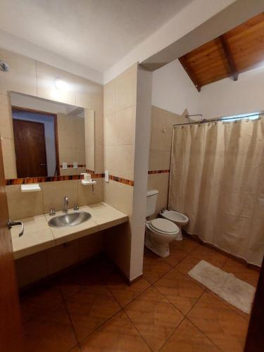 a bathroom with a sink and a toilet at Cabaña la Gabita in Villa Ciudad Parque