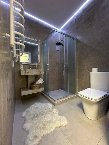 a bathroom with a shower and a toilet and a rug at Comfort Forum House in Lviv