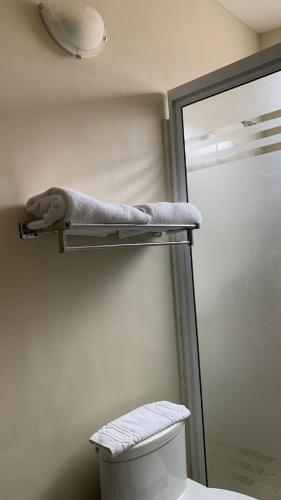 a towel shelf above a toilet in a bathroom at Hotel El Rancho in San Juan Bautista Tuxtepec