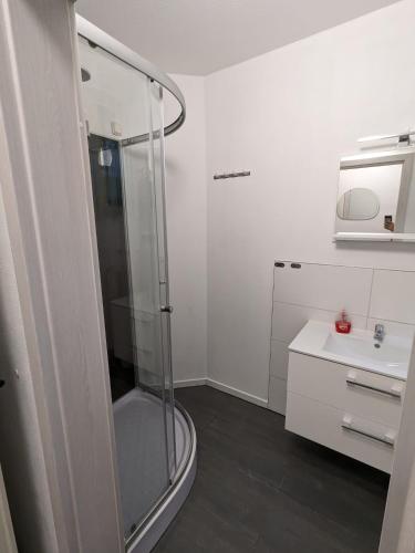 a bathroom with a shower and a sink at Souterrainwohnung in Kelheim