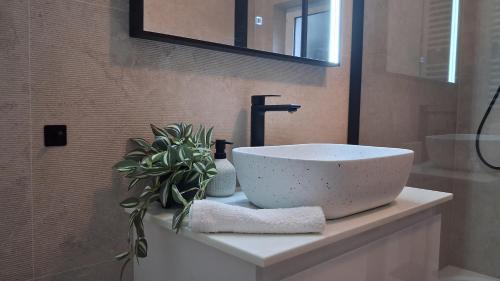 a bathroom with a sink and a plant on a counter at Apartment Antea -Opatija riviera in Mošćenička Draga