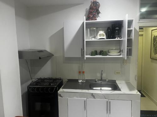 a small kitchen with a sink and a stove at Playa Los Cocos Apat 2 y 3 in Santa Marta