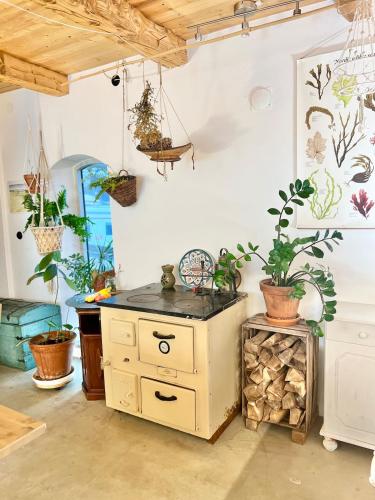 a room with potted plants on the walls at Bohemian accommodation in a magical idyll! in Simrishamn