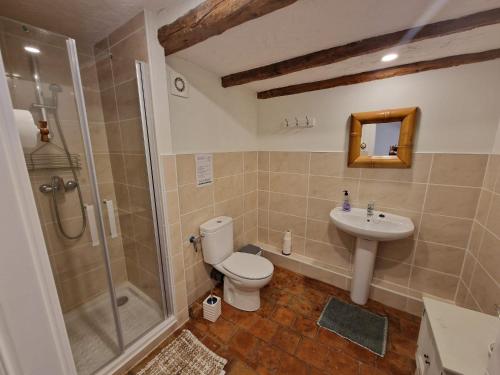 a bathroom with a toilet and a shower and a sink at Spacious attic apartment in Perelló