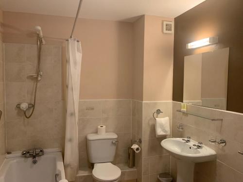 a bathroom with a toilet and a sink and a shower at Fernhill Lodge Carrigaline in Cork