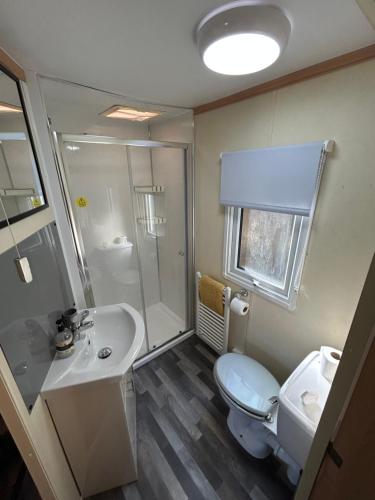 a bathroom with a toilet and a sink and a shower at Bailey's Caravan Hire - Sealands Plot 1 - Wi-Fi - Dog Friendly in Ingoldmells