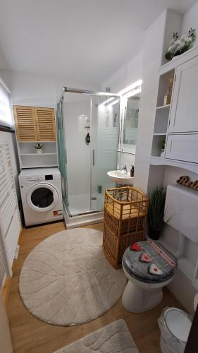 a bathroom with a shower and a washing machine at Ferienwohnung Schäfer in Siegsdorf