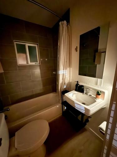 a bathroom with a sink and a toilet and a tub at Golden Sol Casita in Tempe
