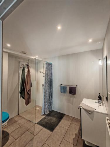 a bathroom with a shower and a sink and a toilet at Gites du Rioul in Les Estables