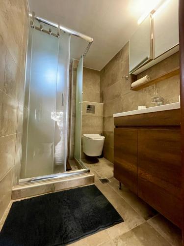 a bathroom with a shower and a toilet and a sink at GRILL&SEA apartments in Perea
