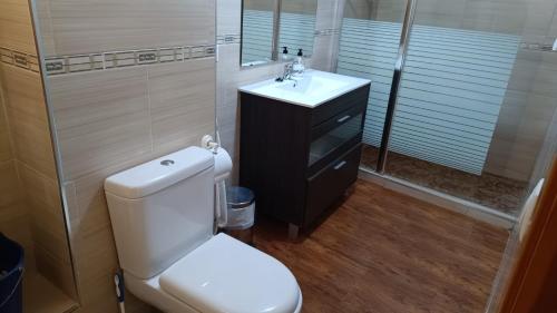 a bathroom with a white toilet and a sink at Casas Rurales Villa Vicenta in Alcalá del Júcar