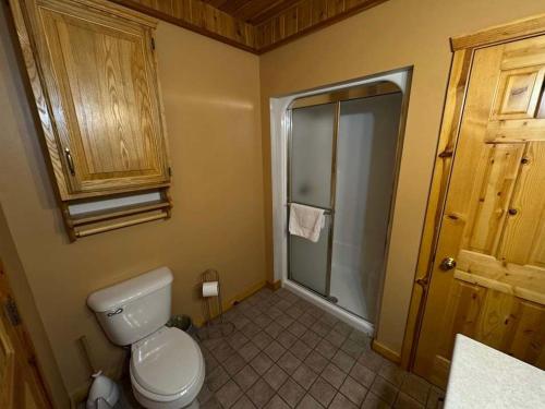 a bathroom with a toilet and a shower at Katherine Lake Lodge in Hazelhurst