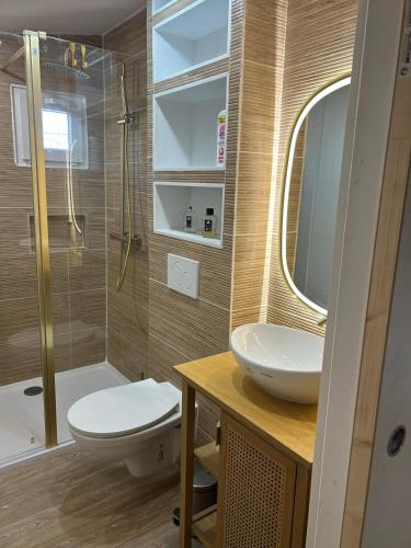 a bathroom with a sink and a toilet and a shower at Chalet Ali Vue panoramique in Le Castellet