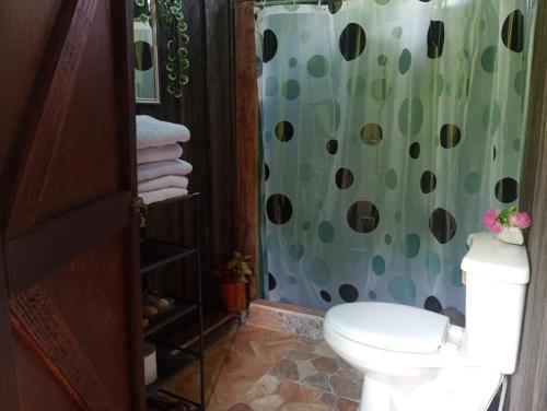 a bathroom with a toilet and a green shower curtain at su cabaña Río Celeste in Rio Celeste