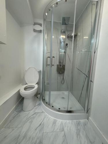 a bathroom with a shower and a toilet at Joshie Stays in Hamilton