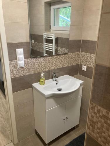 a bathroom with a sink and a mirror at Dunaparti Kuckó in Kiskunlacháza