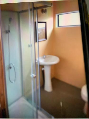 a bathroom with a shower and a sink at Cabañas río seco in Punta Arenas
