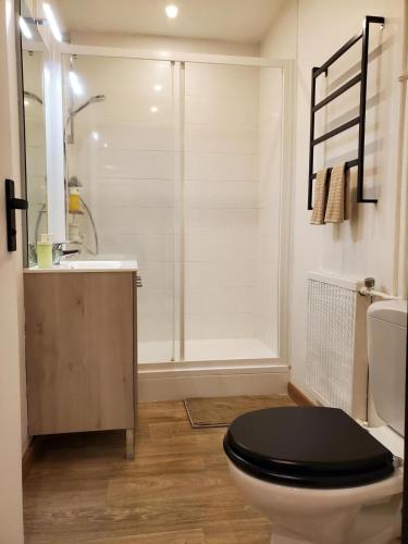 a bathroom with a toilet with a black lid at Le Cocon Clermontois - T2 Centre in Clermont-Ferrand