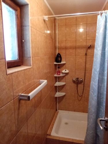 a bathroom with a shower with a shower curtain at Grădina Zoriza in Buzău