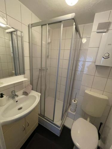 a bathroom with a shower and a toilet and a sink at Ad Monte in Cochem