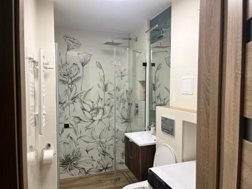 a bathroom with a shower and a sink at Apartament Emilia in Koszalin