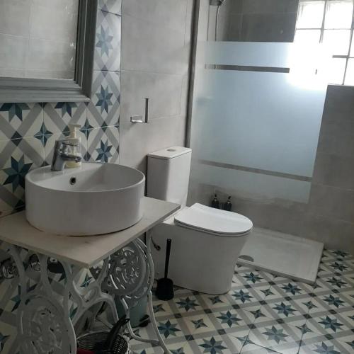 a bathroom with a sink and a toilet at Apartamento Rural Borgia in Borja