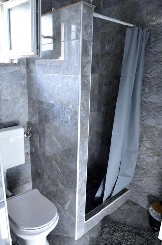 a bathroom with a shower with a toilet and a mirror at MM Studio in Donji Miholjac