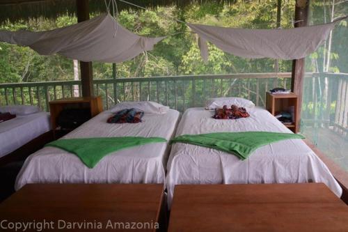 two beds in a room with trees in the background at Johmer EXPEDITION Lodge in Islas Tinicuro