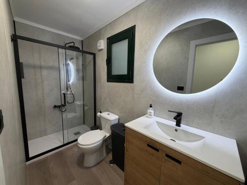 a bathroom with a toilet and a sink and a mirror at Rubín 21 in Redondela