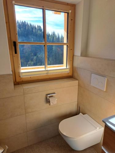 a bathroom with a toilet and a window at Ferienwohnung Altrach in Aurach bei Kitzbuhel