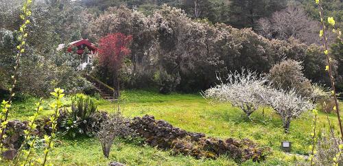 a garden with trees and a red house in the background at Casa Rural La Gustoza in Sauzal