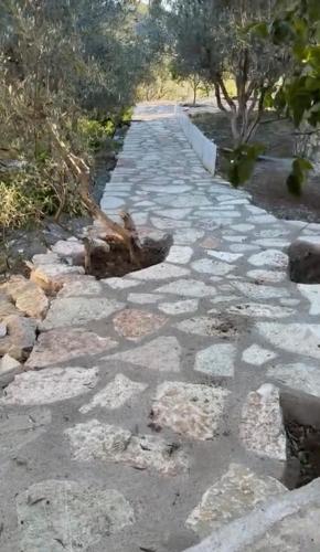 Olive Stone Villa