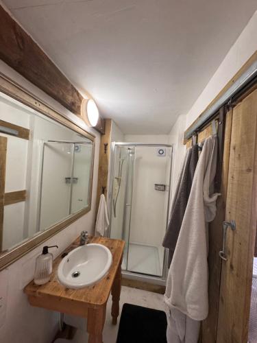 a bathroom with a sink and a shower at Vinnies hideaway in Morpeth