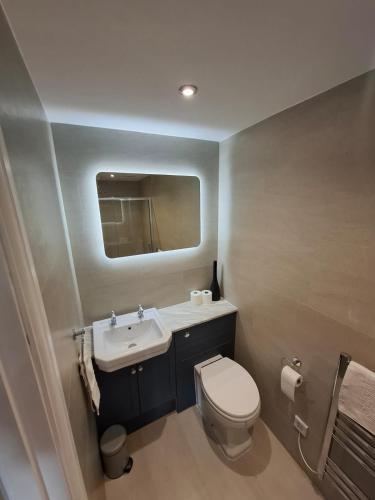 a bathroom with a white toilet and a sink at Lancaster Cottage in Hawes