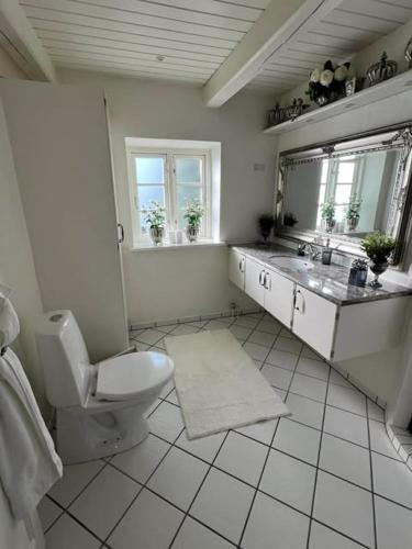a bathroom with a toilet and a sink and a mirror at Romantisk bondehus in Strandby