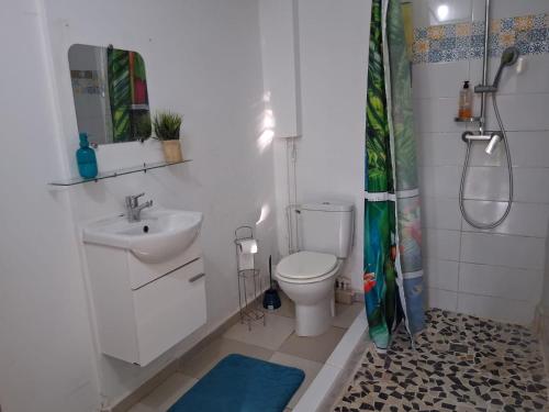a bathroom with a sink and a toilet and a shower at Chez Clo in Le Gosier