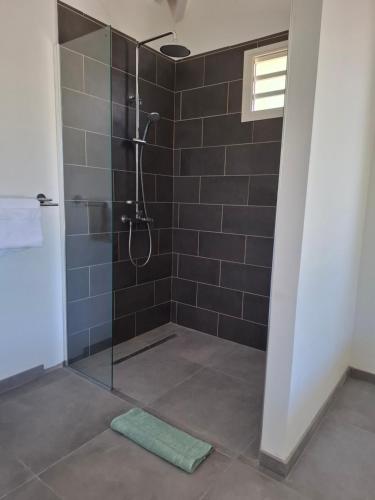 a bathroom with a shower with a glass door at Zion in Capesterre