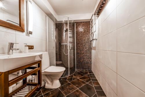 a bathroom with a shower and a toilet and a sink at Gula Byn 410 in Sälen