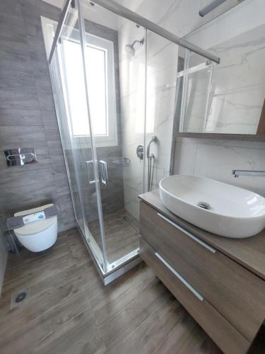 a bathroom with a glass shower and a sink at Saroné Villa in Anavyssos
