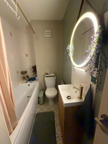 a bathroom with a tub and a toilet and a sink at Cosy apartment in heart of Cork City in Cork