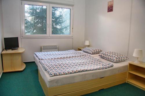 1 dormitorio con 1 cama con 2 almohadas y ventana en Chatova osada Family Resort, en Patince