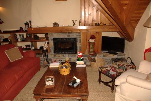 Foto dalla galleria di Apartamentos Tredos a Tredós