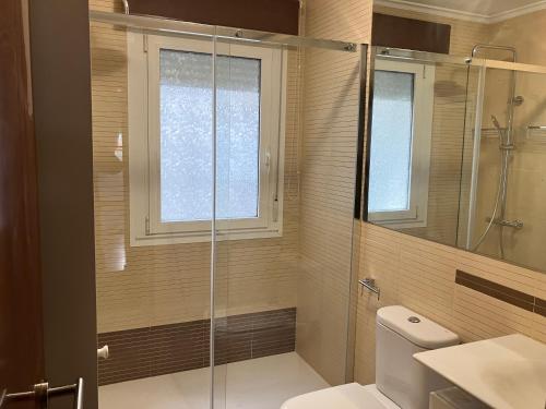a bathroom with a shower and a toilet and a window at Rego de Flores in Viveiro