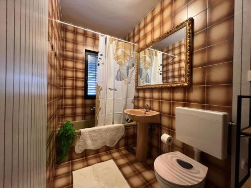 a bathroom with a toilet and a sink and a mirror at La Casa di papa in Buzet